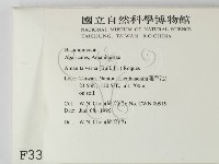 登錄號:F0003363藏品圖，第2張