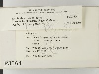 登錄號:F0003364藏品圖，第2張