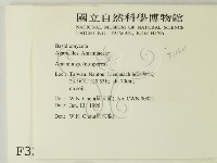 登錄號:F0003365藏品圖，第2張