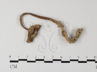 登錄號:F0003365藏品圖，第3張