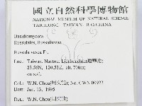 登錄號:F0003367藏品圖，第2張