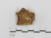 登錄號:F0003367藏品圖，第3張