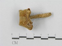 登錄號:F0003367藏品圖，第5張