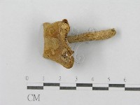 登錄號:F0003367藏品圖，第6張