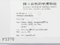 紅菇屬藏品圖，第2張