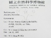 登錄號:F0003372藏品圖，第2張