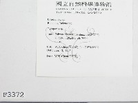 登錄號:F0003372藏品圖，第3張