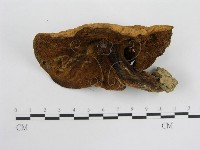 登錄號:F0003372藏品圖，第4張