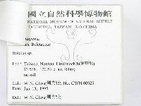 登錄號:F0003373藏品圖，第3張