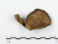 登錄號:F0003373藏品圖，第4張