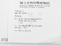 登錄號:F0003374藏品圖，第2張