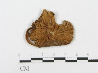 登錄號:F0003374藏品圖，第1張