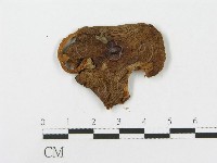 登錄號:F0003374藏品圖，第3張