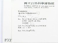 杯傘屬藏品圖，第2張