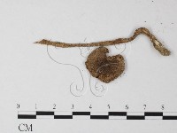 登錄號:F0003376藏品圖，第3張