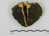 登錄號:F0003377藏品圖，第1張