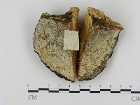 登錄號:F0003377藏品圖，第3張