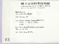 登錄號:F0003378藏品圖，第2張