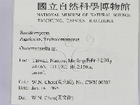 登錄號:F0003380藏品圖，第2張