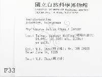 登錄號:F0003381藏品圖，第2張