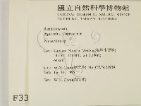 登錄號:F0003382藏品圖，第2張