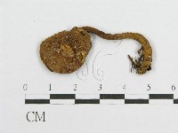 登錄號:F0003383藏品圖，第4張