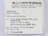 登錄號:F0003384藏品圖，第2張