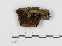 登錄號:F0003384藏品圖，第3張