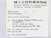 登錄號:F0003385藏品圖，第2張