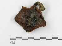 登錄號:F0003385藏品圖，第1張