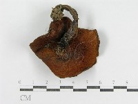 登錄號:F0003385藏品圖，第3張