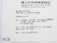 登錄號:F0003388藏品圖，第2張