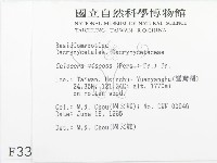 登錄號:F0003389藏品圖，第2張