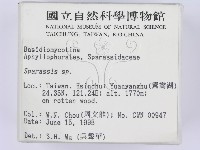 登錄號:F0003390藏品圖，第2張