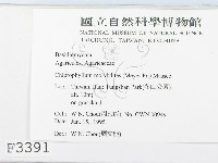 登錄號:F0003391藏品圖，第3張