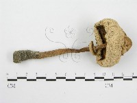 登錄號:F0003391藏品圖，第1張