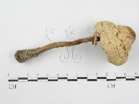 登錄號:F0003391藏品圖，第4張