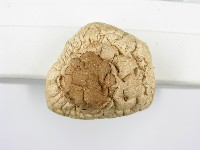 登錄號:F0003391藏品圖，第8張