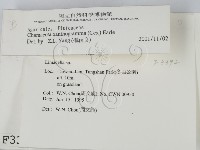 登錄號:F0003392藏品圖，第2張