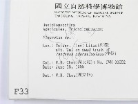 登錄號:F0003394藏品圖，第2張