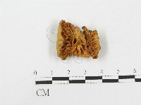 登錄號:F0003394藏品圖，第1張