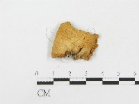 登錄號:F0003394藏品圖，第3張