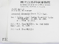 登錄號:F0003396藏品圖，第2張