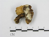 登錄號:F0003396藏品圖，第3張