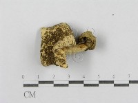 登錄號:F0003398藏品圖，第3張