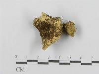 登錄號:F0003398藏品圖，第4張