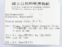 登錄號:F0003400藏品圖，第2張