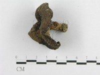 登錄號:F0003400藏品圖，第4張