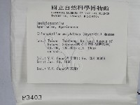 登錄號:F0003403藏品圖，第2張