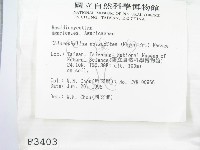 登錄號:F0003403藏品圖，第3張